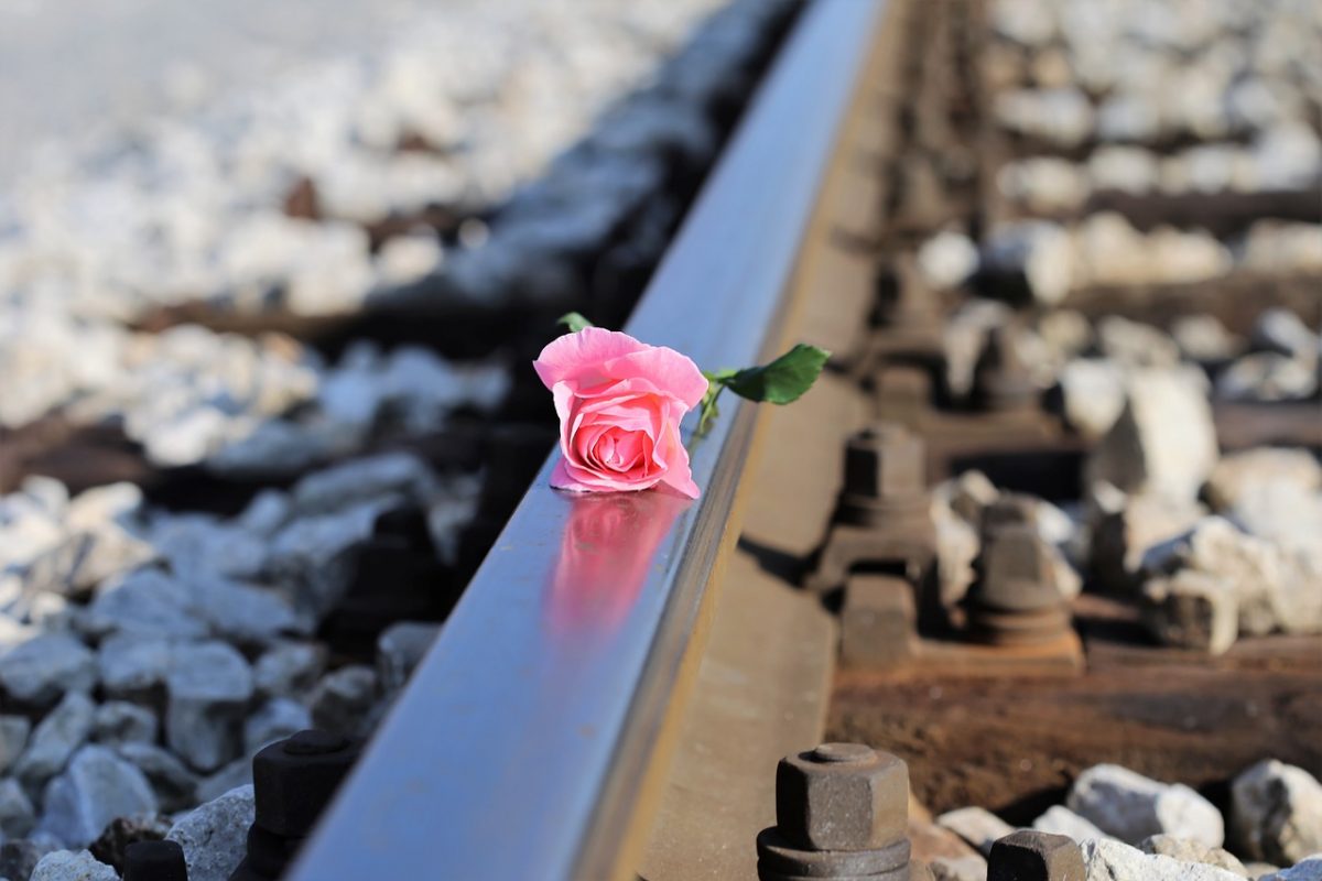 Article : Le suicide au Japon, le fléau du pays